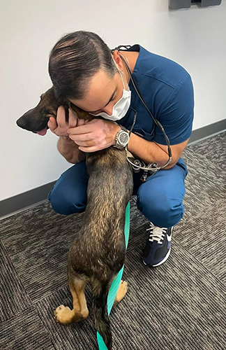 Southington Dentistry | Jaw Pain TMJ, Dental Bridges and Dentures